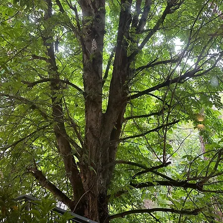 & Breakfast D'annunzio Ravenna