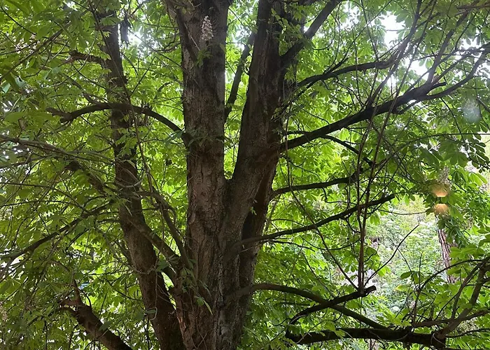 & Breakfast D'annunzio Ravenna